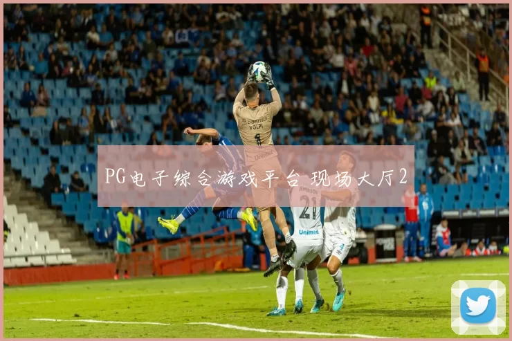 PG电子综合游戏平台 现场大厅2