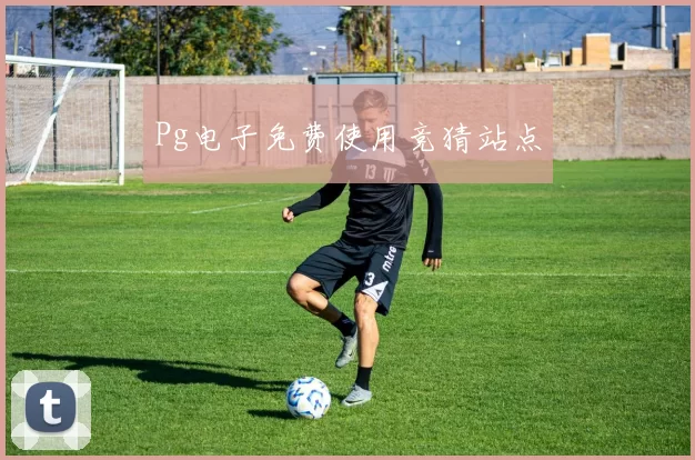 Pg电子免费使用竞猜站点